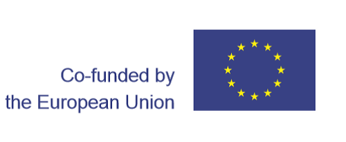 Co funded by the EU